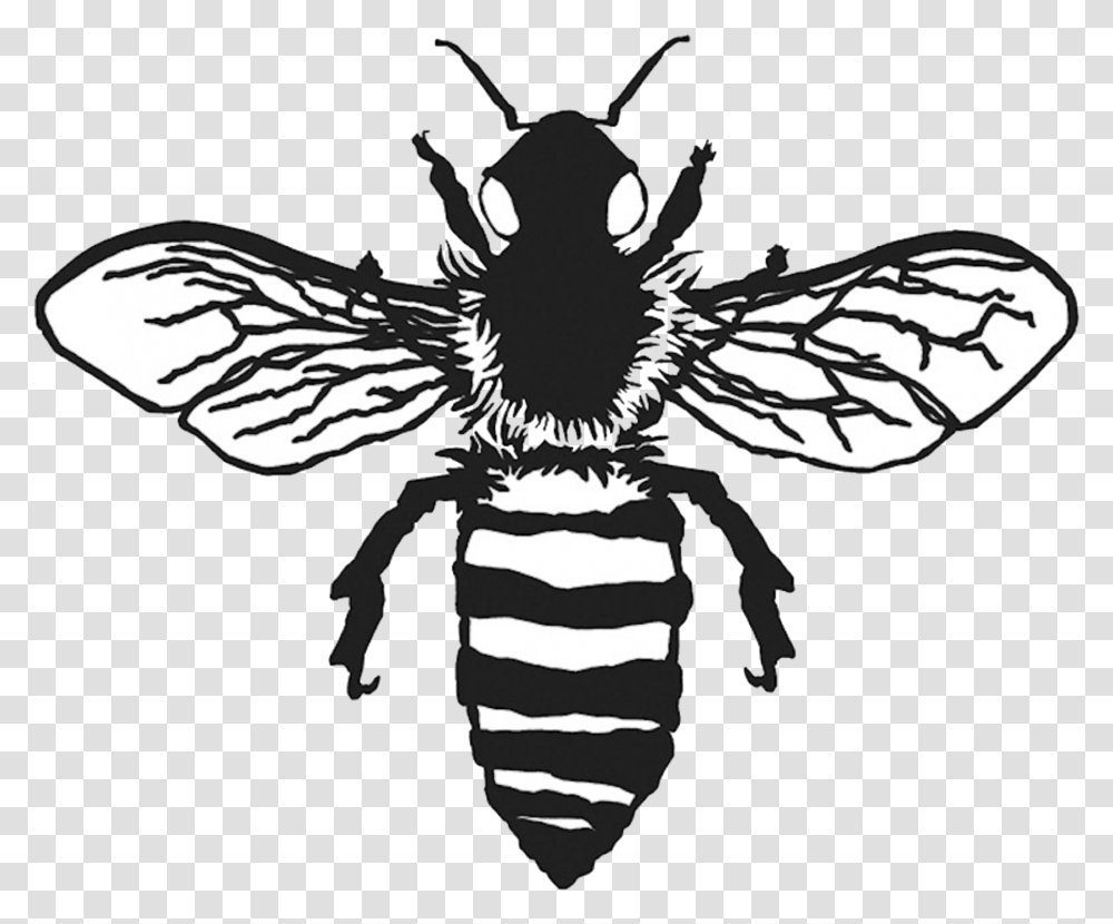 Vintage Bee Bee Clipart Black And White, Insect, Invertebrate, Animal, Wasp Transparent Png