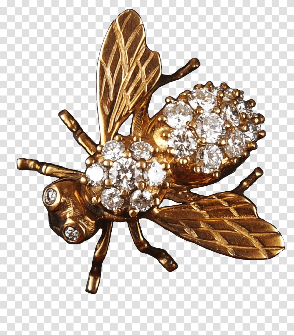 Vintage Bee Bee Pin, Accessories, Accessory, Jewelry, Brooch Transparent Png