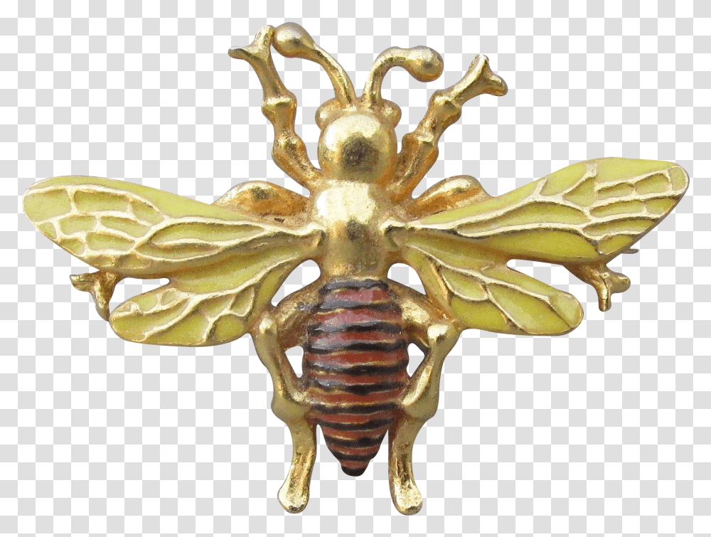Vintage Bee Honeybee, Fungus, Animal, Wasp, Insect Transparent Png
