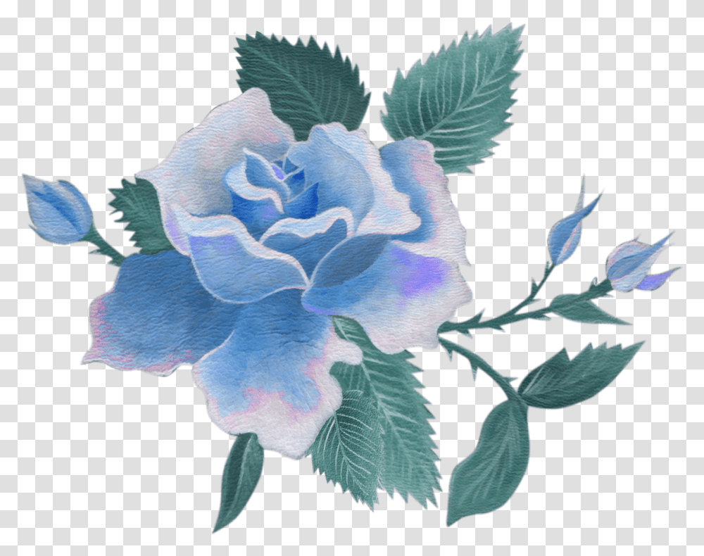 Vintage Blue Flower Blue Flowers Background, Plant, Acanthaceae, Blossom, Pattern Transparent Png