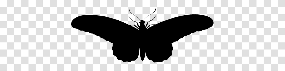 Vintage Butterfly Illustration Silhouette, Gray, World Of Warcraft Transparent Png
