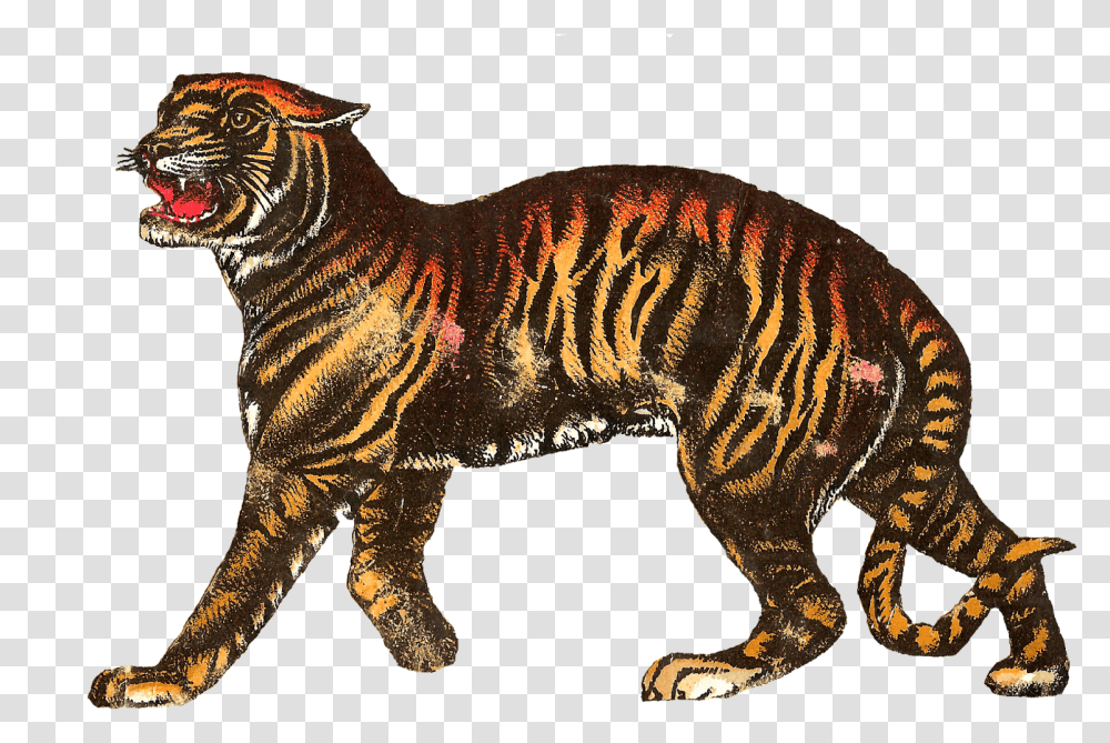 Vintage Circus Tiger, Mammal, Animal, Wildlife, Cat Transparent Png