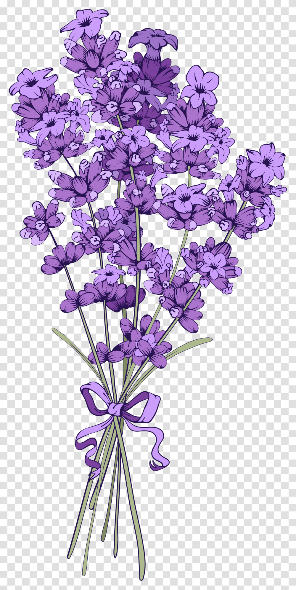 Vintage Clipart Background Lavender, Plant, Flower, Floral Design Transparent Png