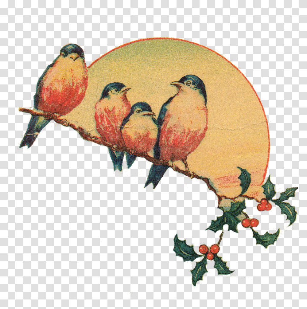 Vintage Clipart, Bird, Animal, Plot, Diagram Transparent Png