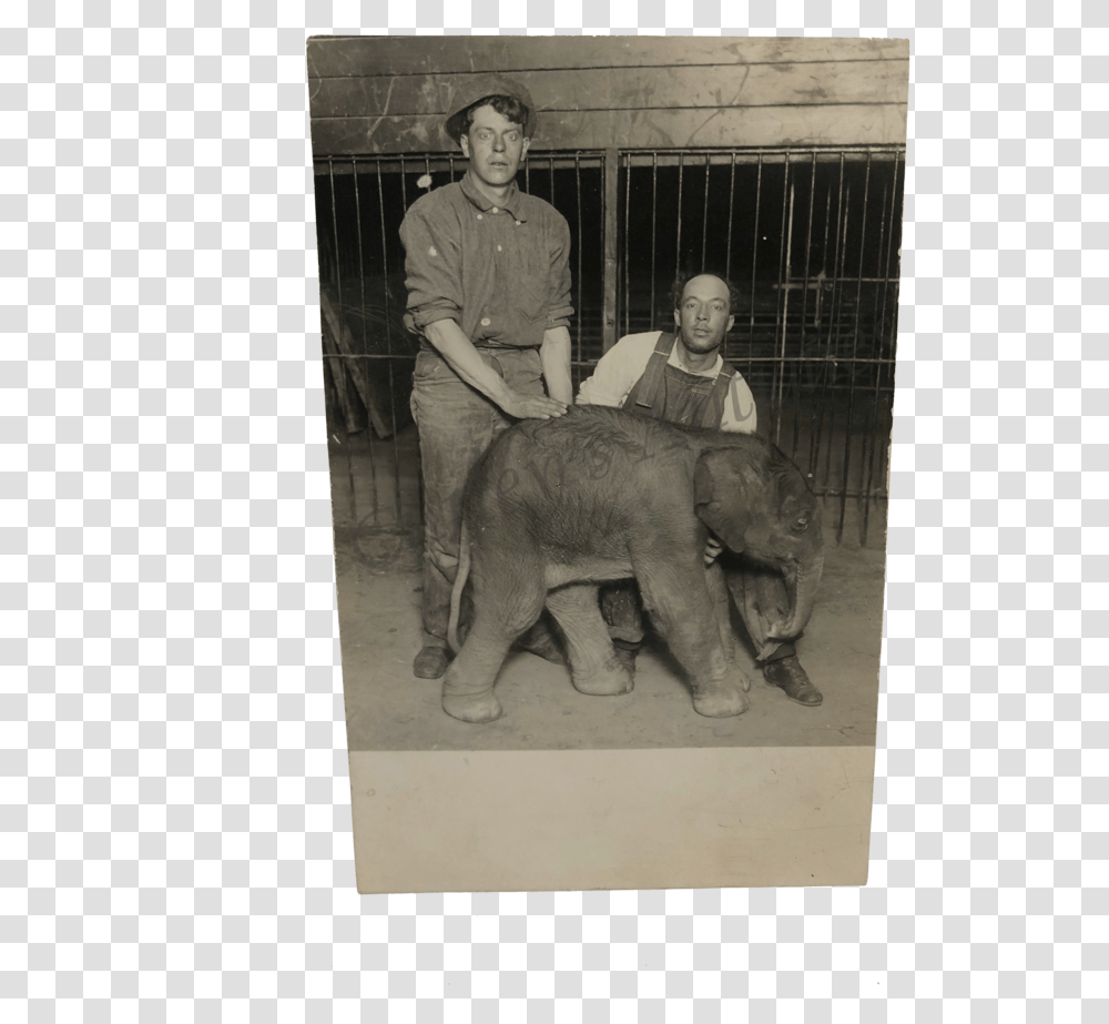 Vintage Clothing, Person, Human, Zoo, Animal Transparent Png