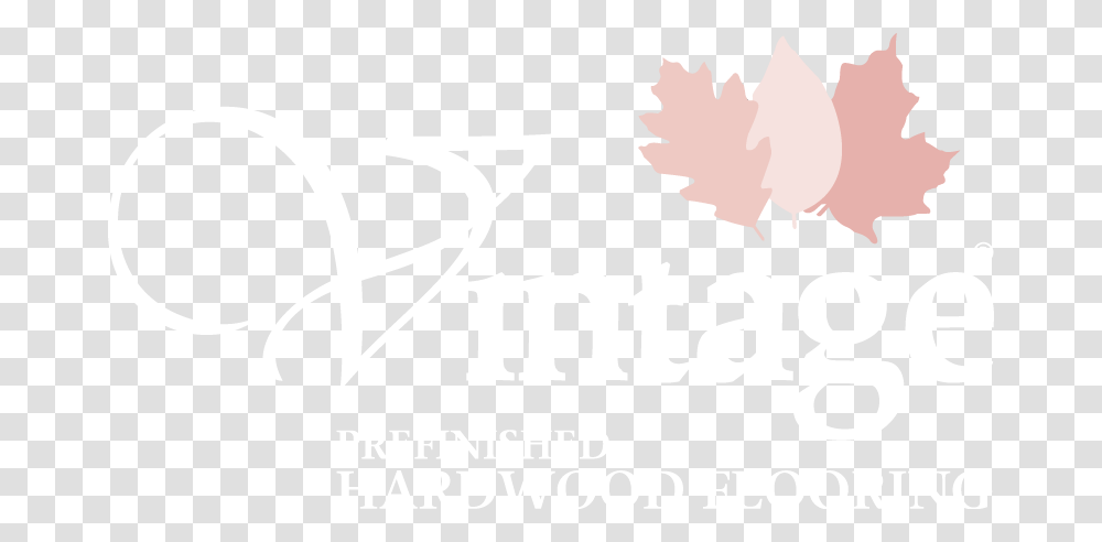 Vintage Flooring Logo, Leaf, Plant, Maple Leaf, Tree Transparent Png