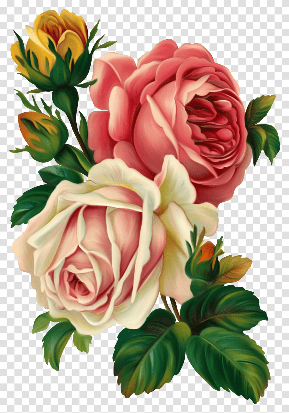 Vintage Floral Flowers Art Decoupage Vintage Drawing Flower, Plant, Blossom, Graphics, Floral Design Transparent Png