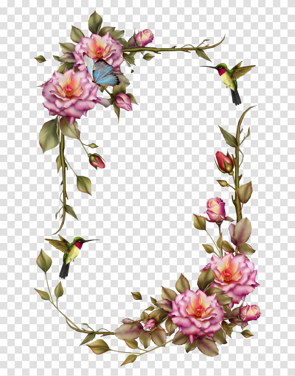 Vintage Floral Frame Clipart Flower Frames, Plant, Blossom, Bird, Animal Transparent Png