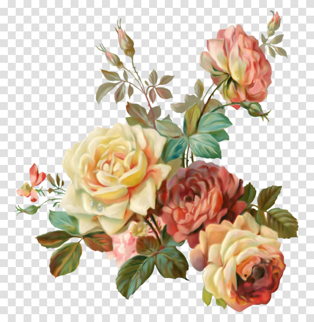 Vintage Flower Art, Rose, Plant, Blossom, Floral Design Transparent Png