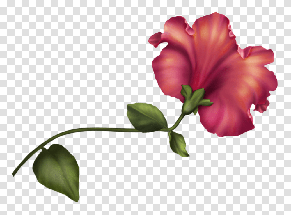 Vintage Flower Clip Art, Plant, Blossom, Petal, Leaf Transparent Png