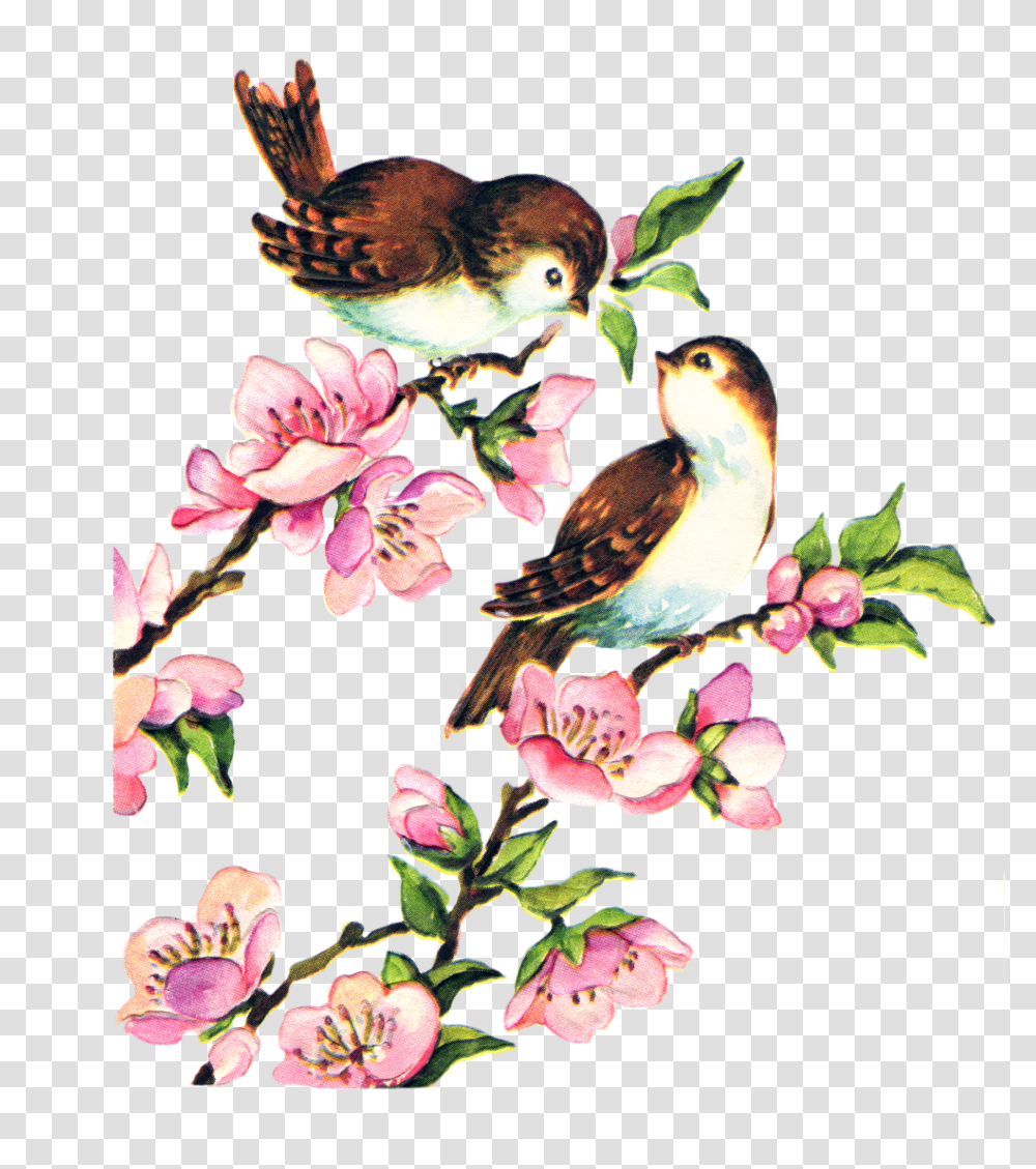 Vintage Flower Clipart Branch, Bird, Animal, Floral Design Transparent Png