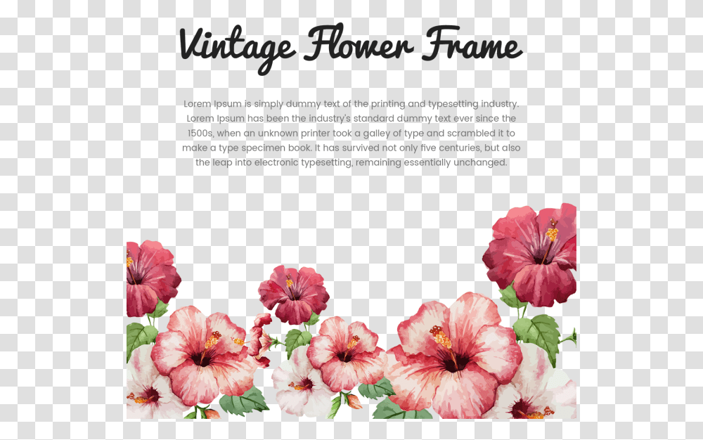 Vintage Flower Frame With Typography Vintage Flower Tropical Flowers Painting Watercolor, Plant, Hibiscus, Blossom, Geranium Transparent Png