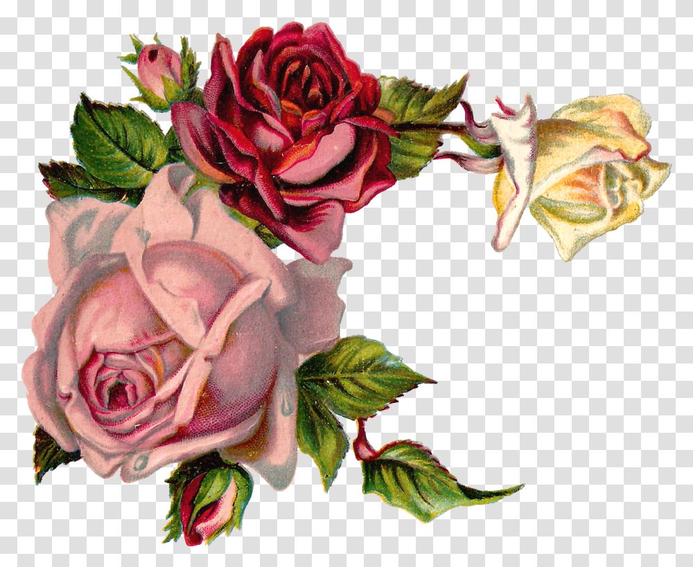 Vintage Flower Graphic, Plant, Blossom, Flower Bouquet, Flower Arrangement Transparent Png
