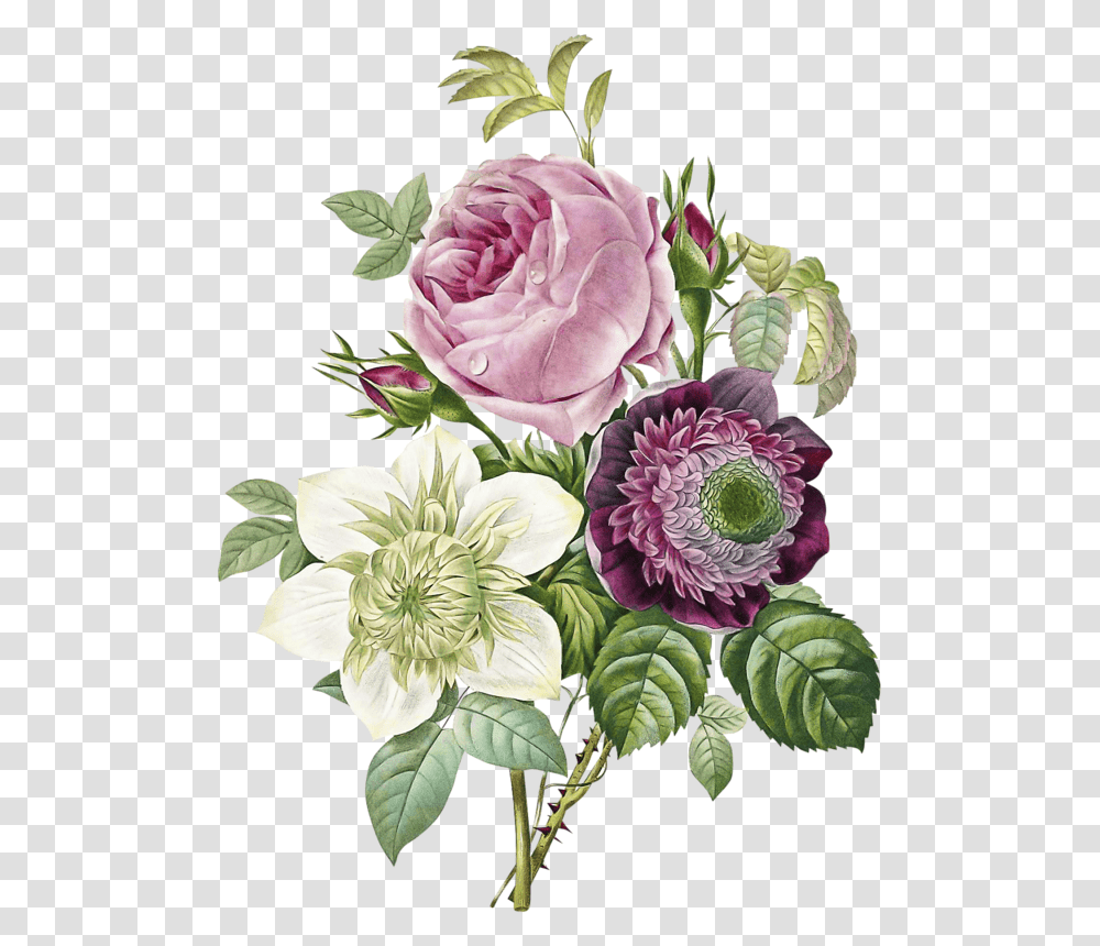 Vintage Flower High Resolution, Floral Design, Pattern Transparent Png