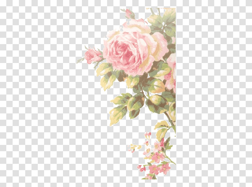Vintage Flower Wallpaper For Iphone Hd, Plant, Blossom Transparent Png