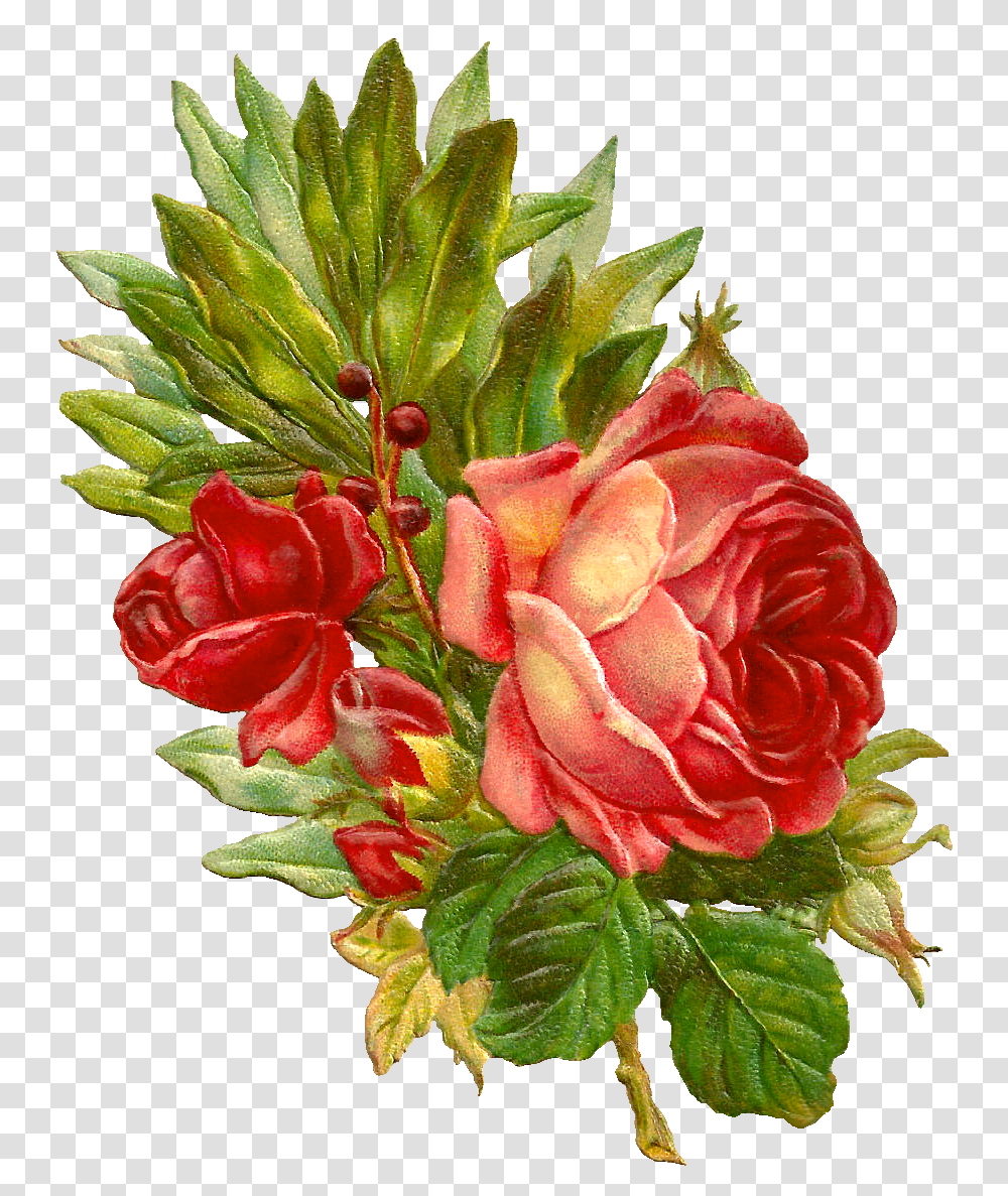 Vintage Flowers Clipart Flowers Vintage Red Victorian, Plant, Blossom, Flower Arrangement, Acanthaceae Transparent Png