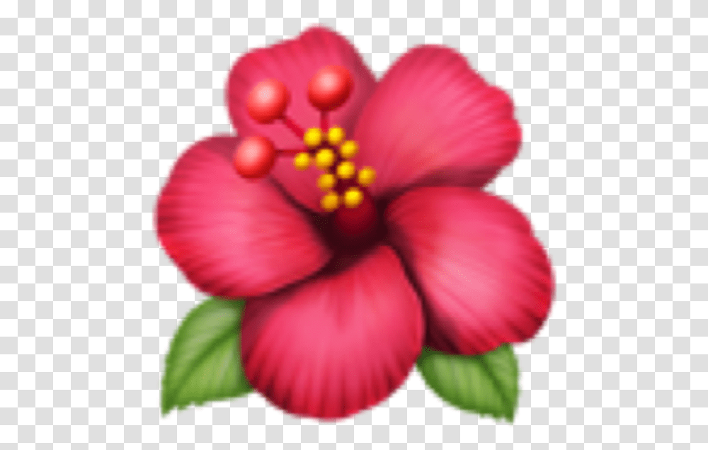 Vintage Flowers Emoji Keyboard Flower Emoji, Hibiscus, Plant, Blossom, Person Transparent Png
