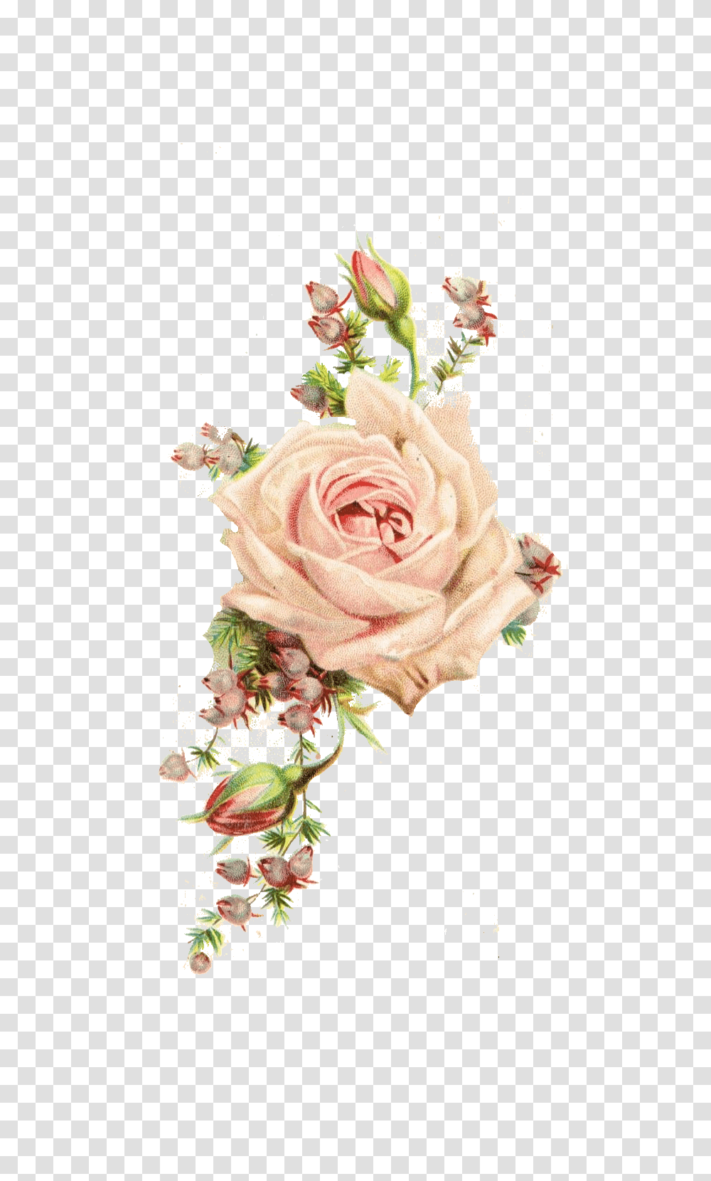 Vintage Flowers Image With Background Vintage Flower, Rose, Plant, Blossom, Art Transparent Png