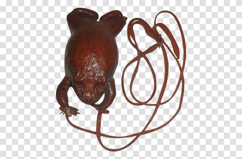 Vintage Genuine Taxidermy Frog Toad Purse Belly Zipper Eastern Spadefoot, Lobster, Seafood, Sea Life, Animal Transparent Png