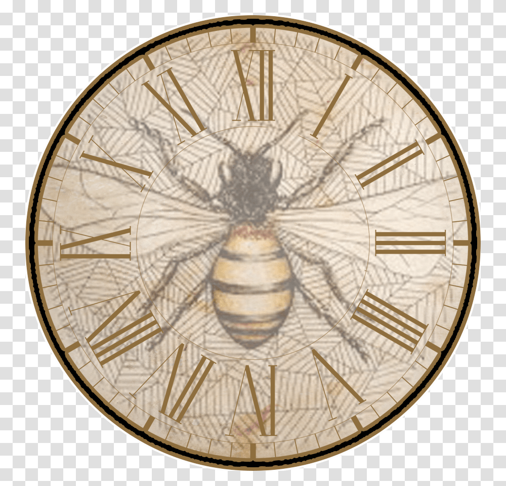 Vintage Honey Bee Clipart, Compass, Chandelier, Lamp, Clock Tower Transparent Png