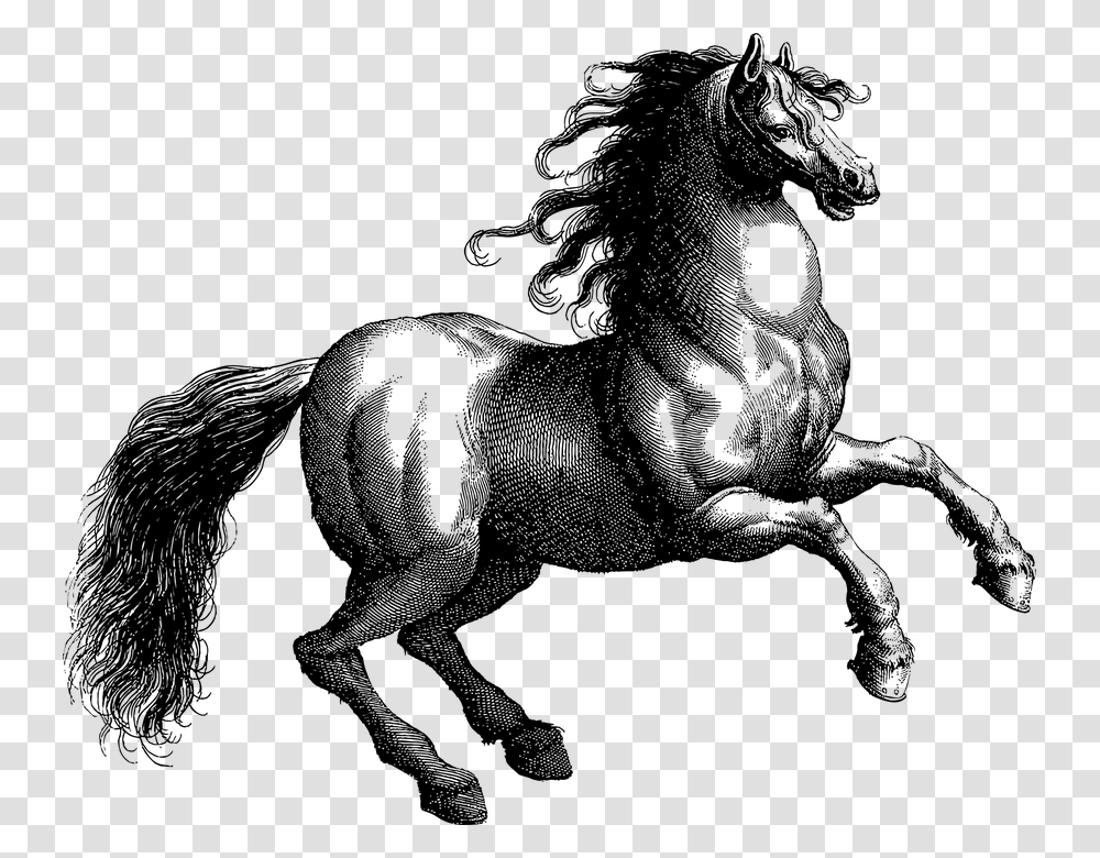Vintage Horse Line Art Equine Animal Rearing, Gray, World Of Warcraft Transparent Png