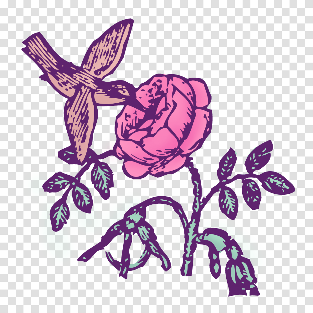 Vintage Hummingbird And Rose Clipart, Doodle, Drawing, Floral Design Transparent Png