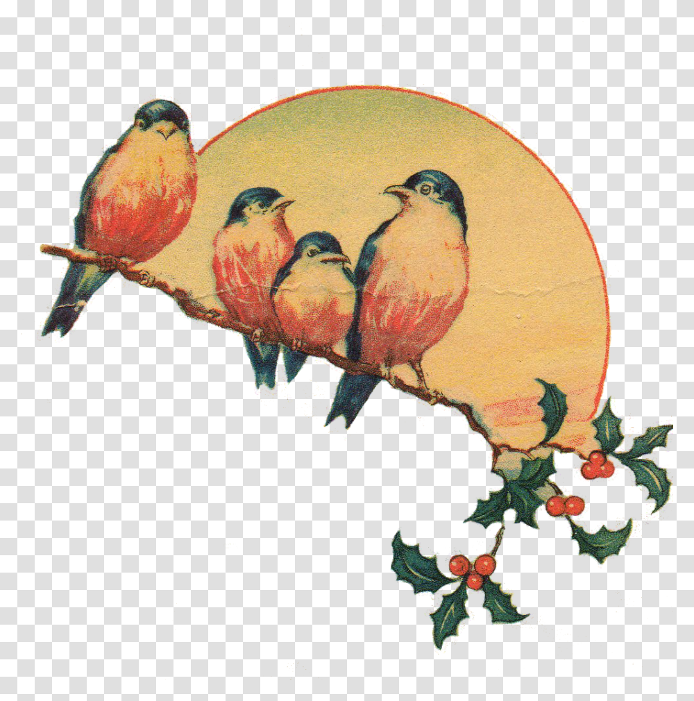 Vintage Love Birds Birdspng, Animal, Plant, Fruit, Food Transparent Png