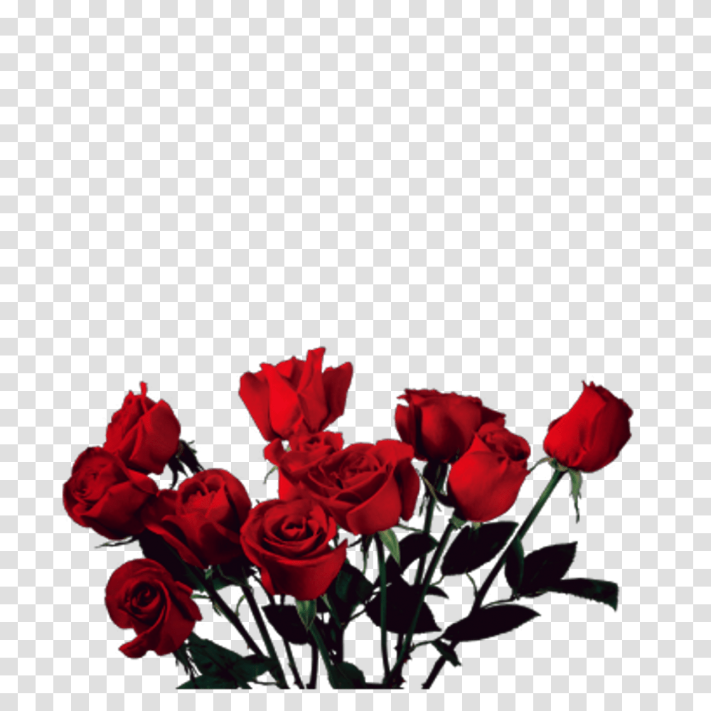 Vintage Love Tumblr Tumblrgirl Rosas Flowers Red Roses Roses, Plant, Blossom, Flower Bouquet, Flower Arrangement Transparent Png