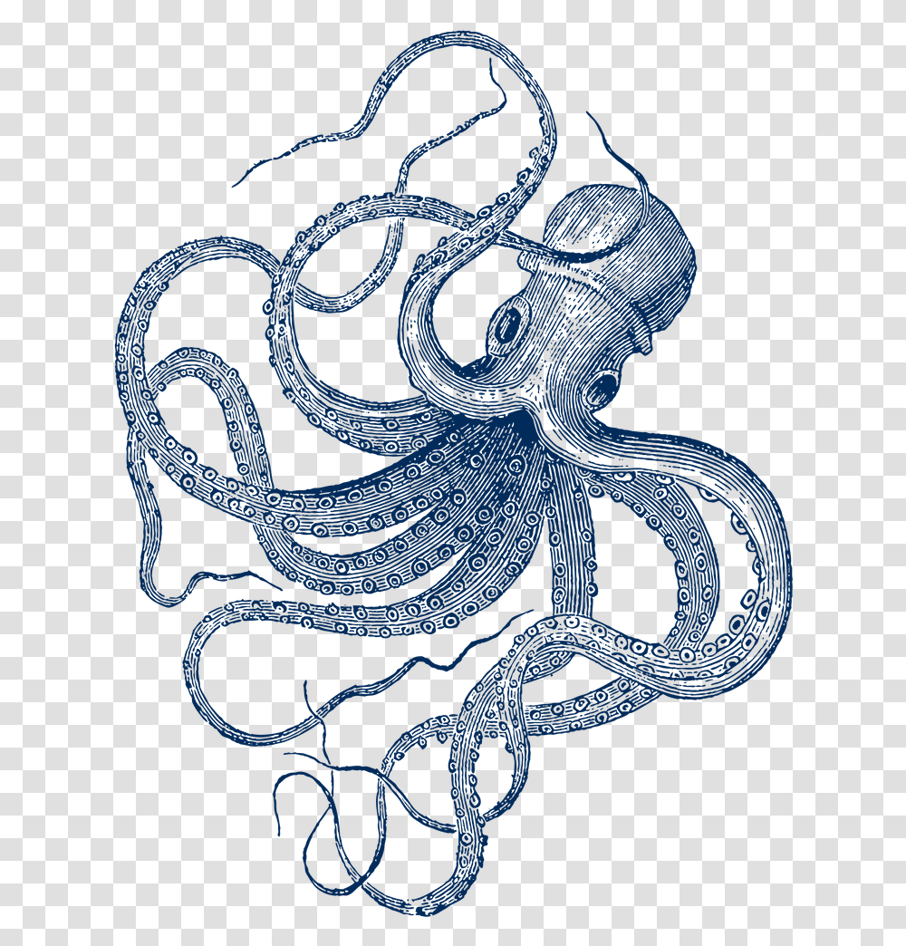 Vintage Octopus Illustration, Sea Life, Animal, Crawdad, Seafood Transparent Png