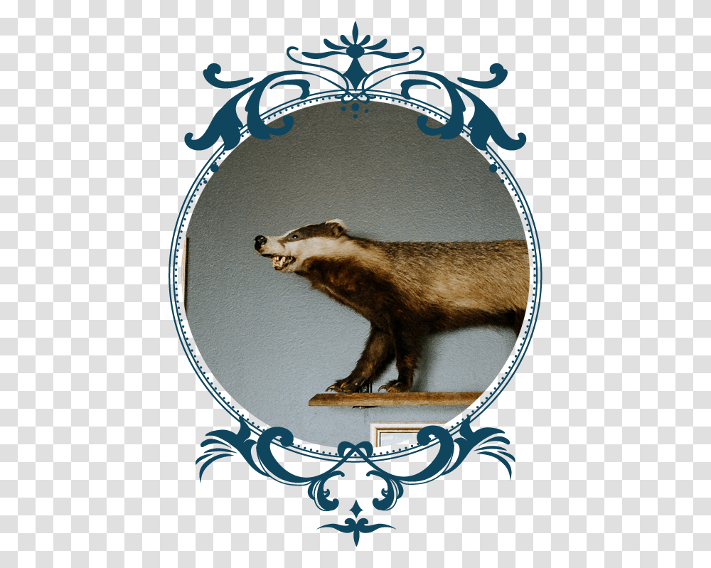 Vintage Ornament Vector, Badger, Wildlife, Mammal, Animal Transparent Png