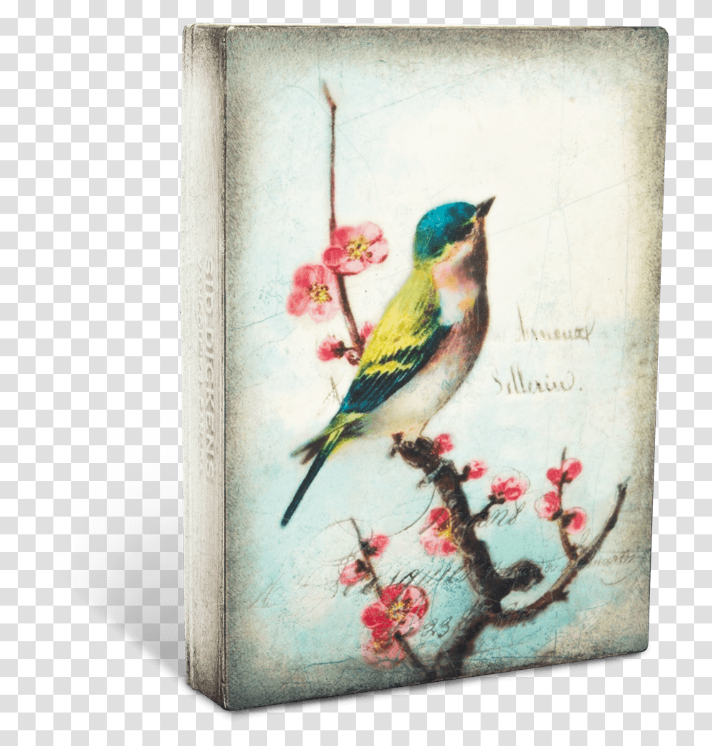 Vintage Pajaros Fondo Download Best Painting Of Birds, Animal, Porcelain, Pottery Transparent Png