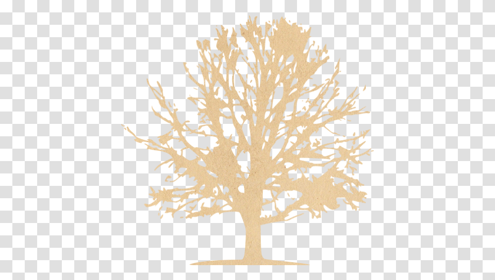 Vintage Paper Tree Icon Free Vintage Paper Tree Icons Everyone Shall Sit Under Their Own Vine, Plant, Rug, Leaf, Tree Trunk Transparent Png