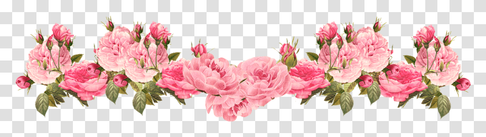 Vintage Pink Free Rose Flower Bottom Border, Plant, Blossom, Carnation, Peony Transparent Png