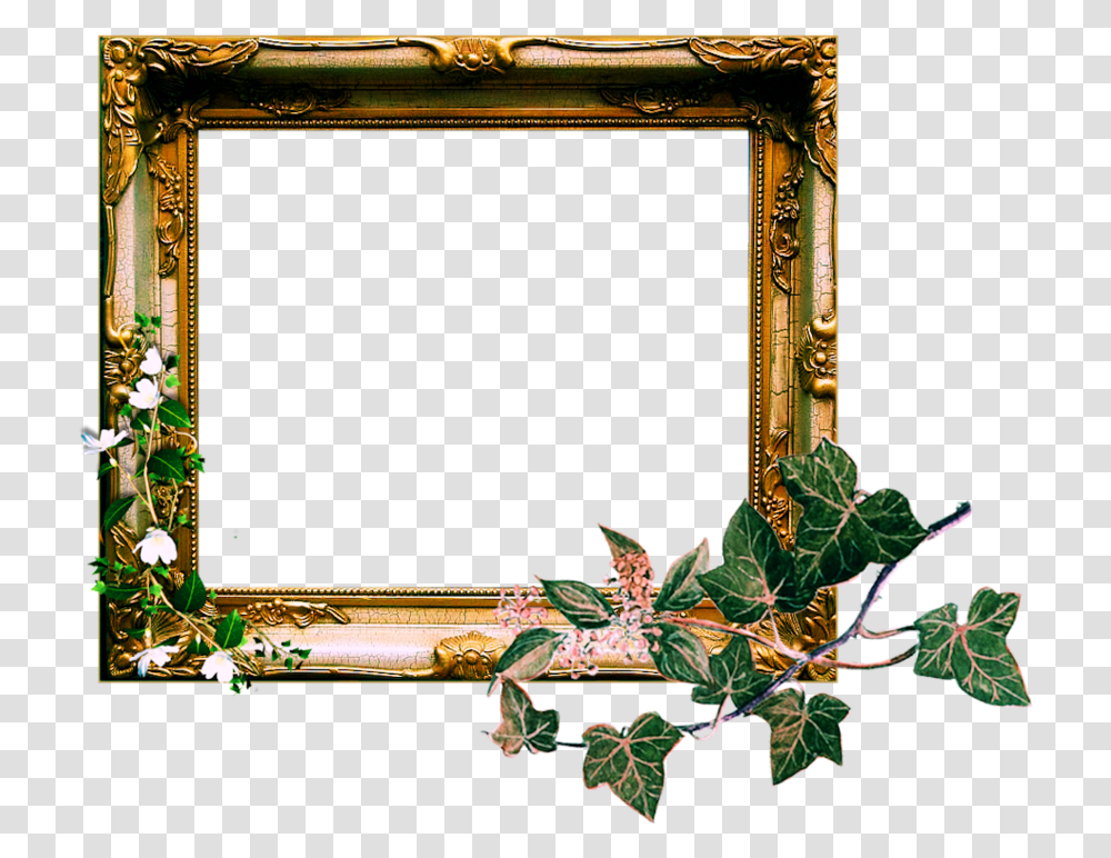 Vintage Pirate Frame, Plant, Painting, Mirror Transparent Png