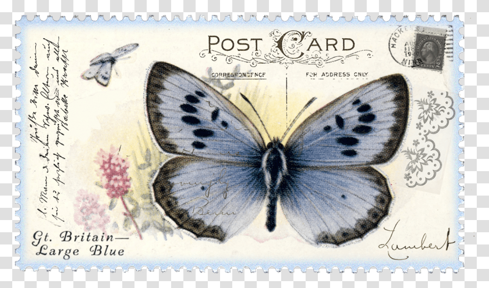 Vintage Postage Stamp, Bird, Animal Transparent Png