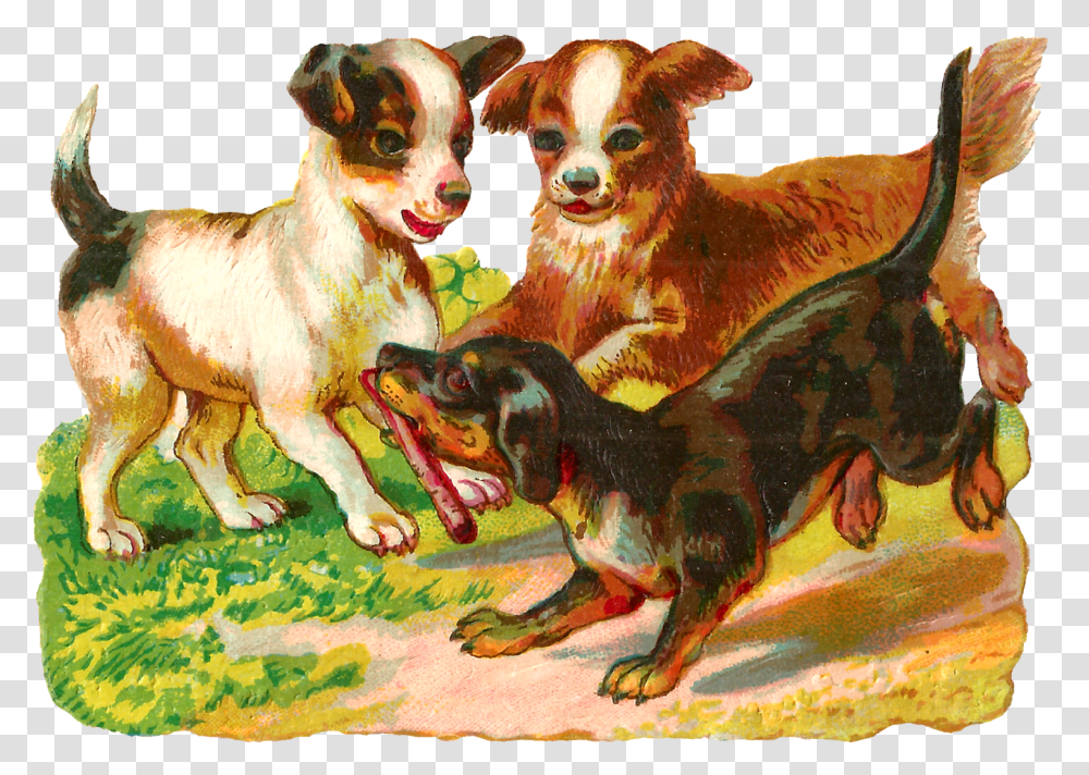 Vintage Puppy, Dog, Pet, Canine, Animal Transparent Png