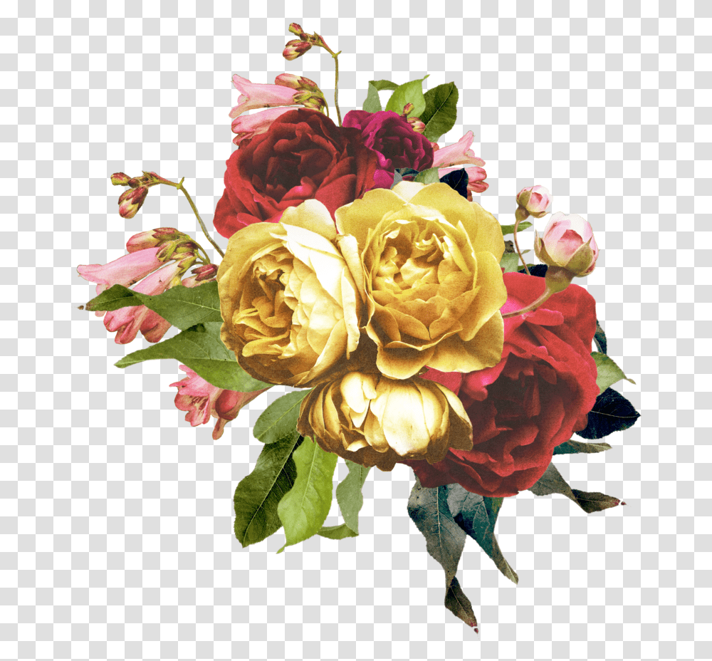 Vintage Rose Arrangement Old Vintage Rose, Floral Design, Pattern Transparent Png