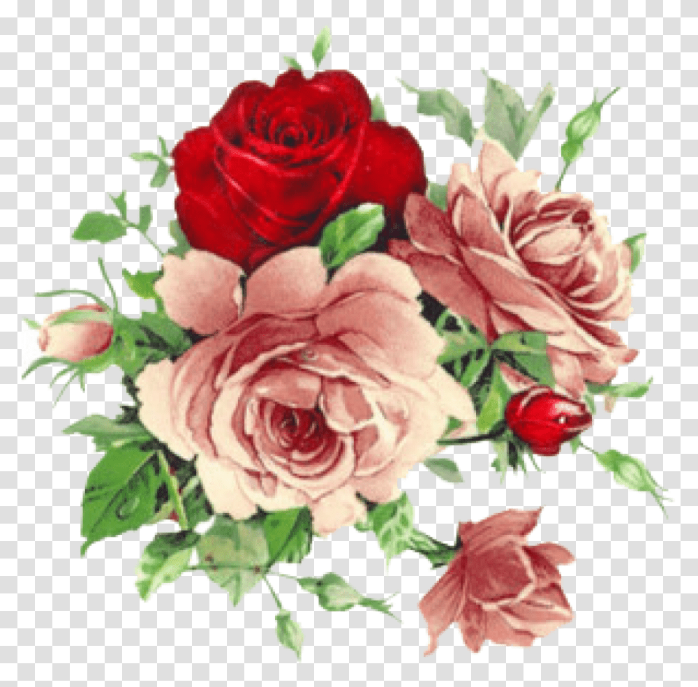 Vintage Roses Floral Old Rose, Floral Design, Pattern Transparent Png