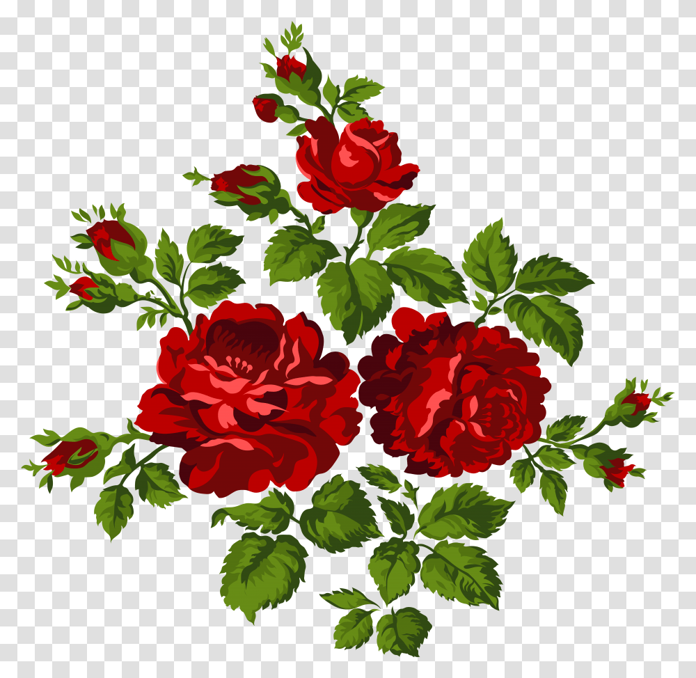 Vintage Roses Free Flower, Geranium, Plant, Blossom, Carnation Transparent Png