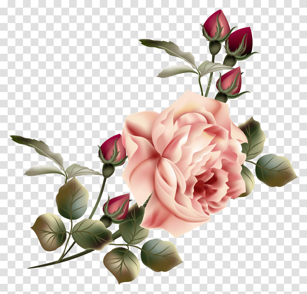 Vintage Roses Vintage Flower Free Transparent Png