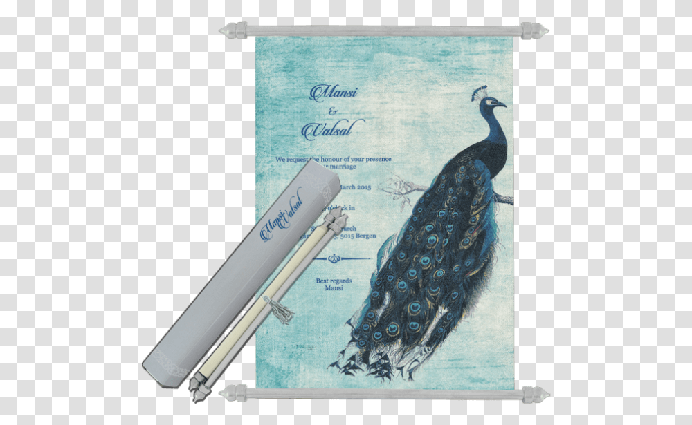 Vintage Scroll Banner, Bird, Animal Transparent Png