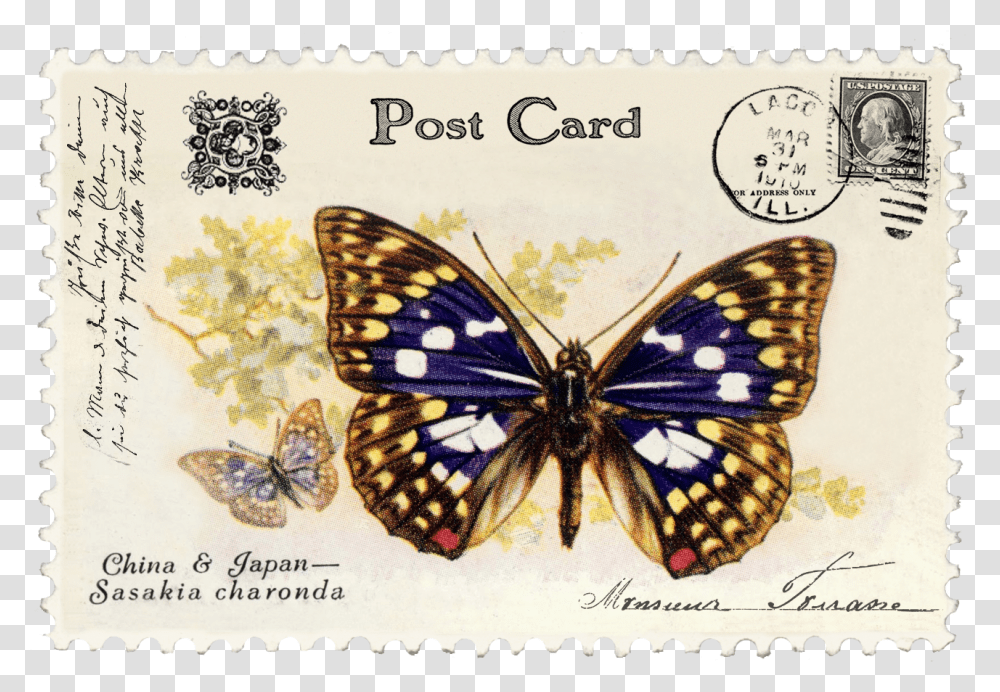 Vintage Stamps, Postage Stamp, Insect, Invertebrate, Animal Transparent Png
