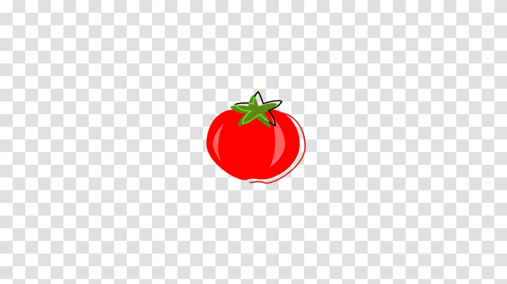 Vintage Tomato Vector Graphics, Plant, Vegetable, Food Transparent Png