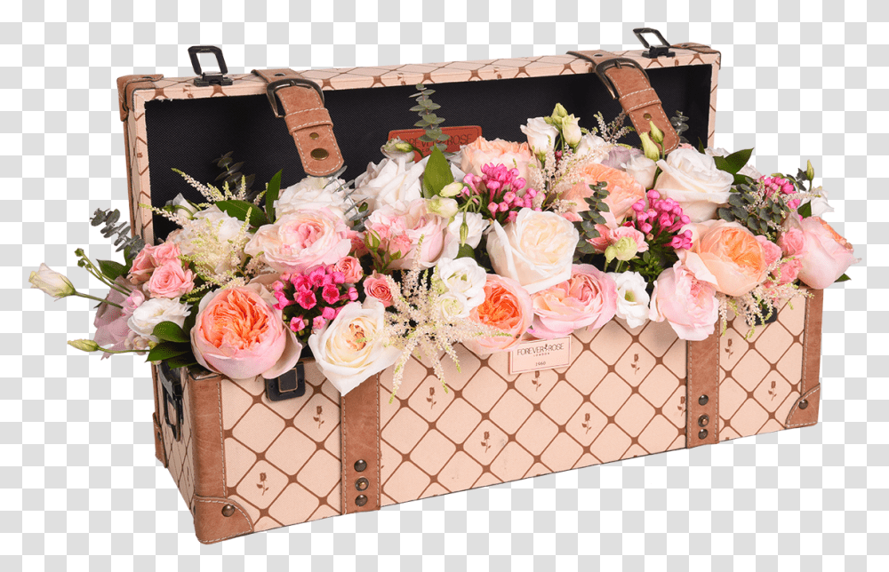 Vintage Trunk, Plant, Rose, Flower, Blossom Transparent Png