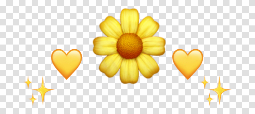 Vintage Yellowaesthetic Sunflower Aesthetic Tumblr Yellow Flower Emoji, Plant, Petal, Daisy, Food Transparent Png