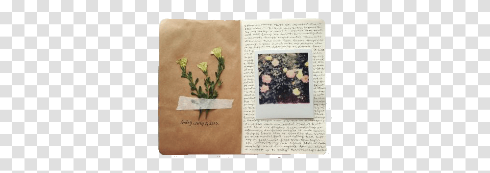 Vintageaesthetic Journal Flower Polyvore Vintage Art Journals, Plant, Text, Potted Plant, Vase Transparent Png