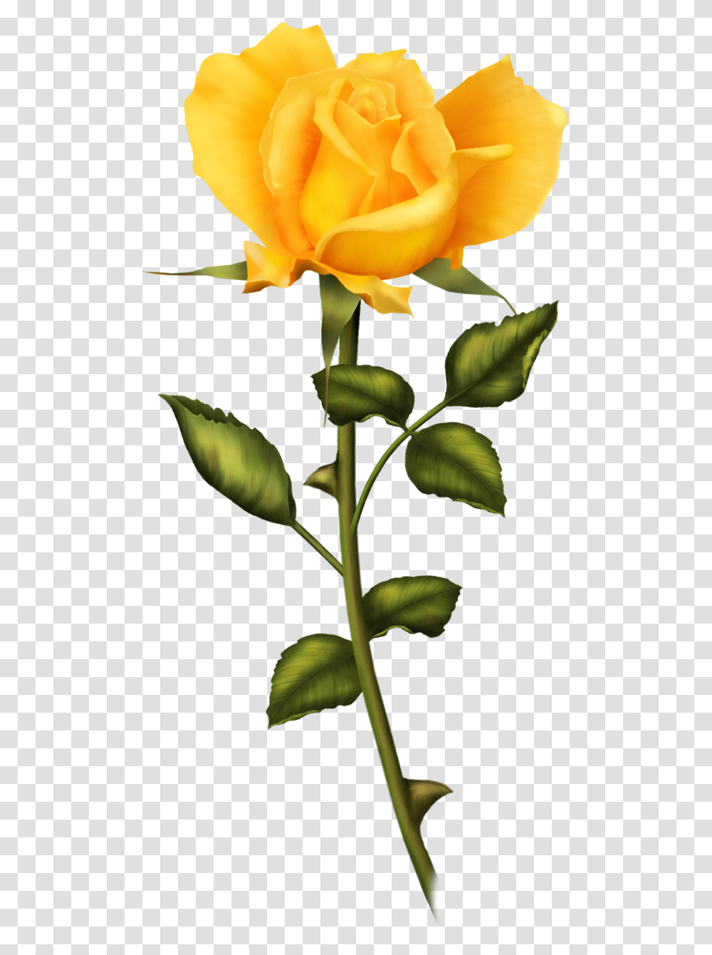 Vintageantiguasretro Y Por El Estilo Decoupage, Plant, Flower, Blossom, Rose Transparent Png