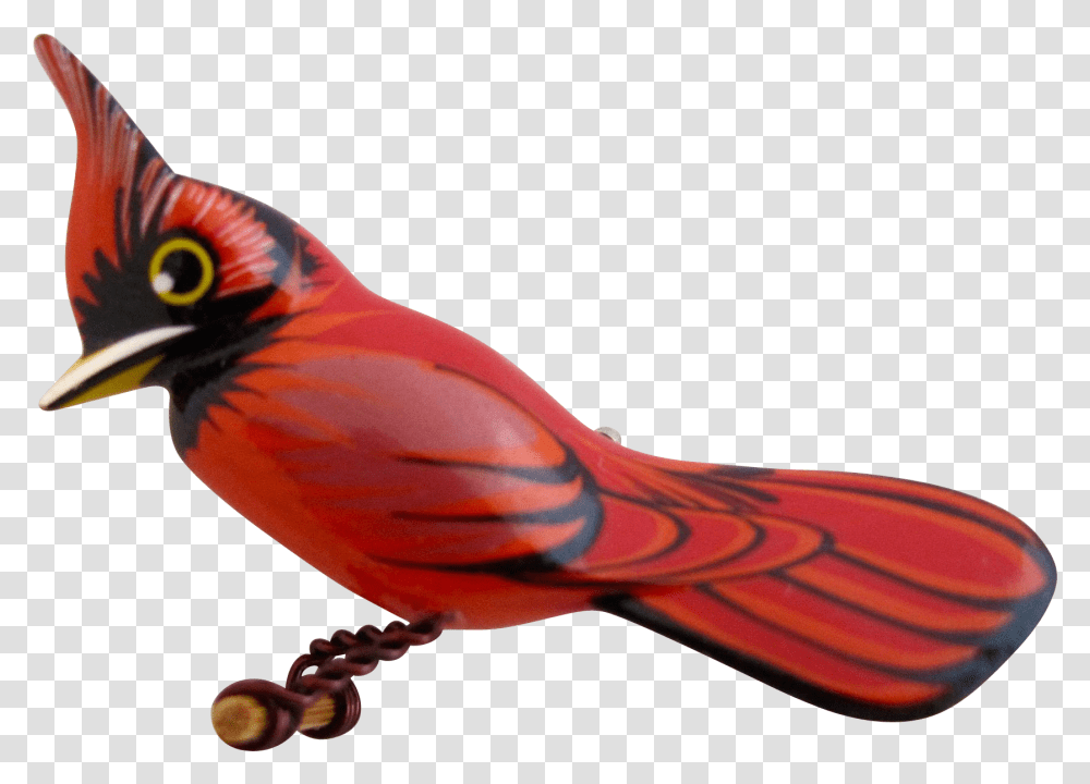 Vintagebeginshere At Northern Cardinal, Bird, Animal, Finch, Jay Transparent Png