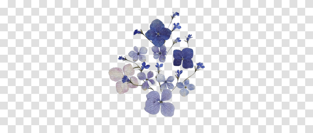 Vintageflowersfleurvictoriabea Violet Violette Blue Blue Dried Flowers, Plant, Chandelier, Acanthaceae, Art Transparent Png
