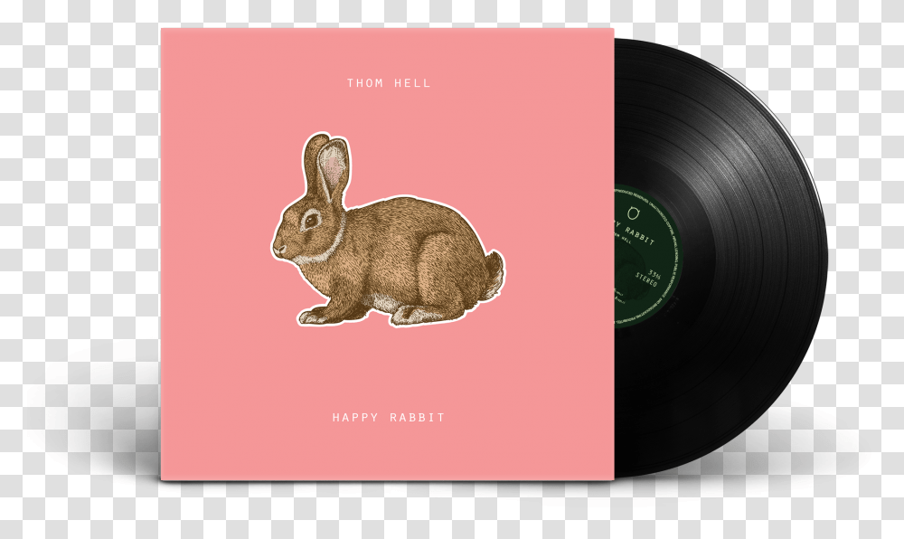 Vinyl, Mammal, Animal, Rodent, Rabbit Transparent Png